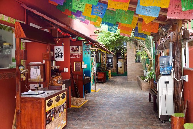 Cozumel Shore Excursion: 5-Hour Sightseeing Tour with Private Driver - Playa Palancar beach club: swimming, snorkel, and real downtime
