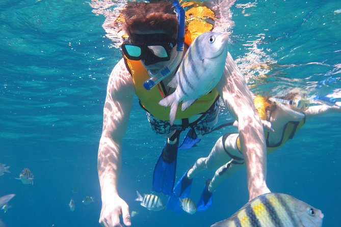 Cozumel Shore Excursion: Playa Uvas Private Beach Pass - Rocky ocean entry and sunscreen rules, what you need to prepare