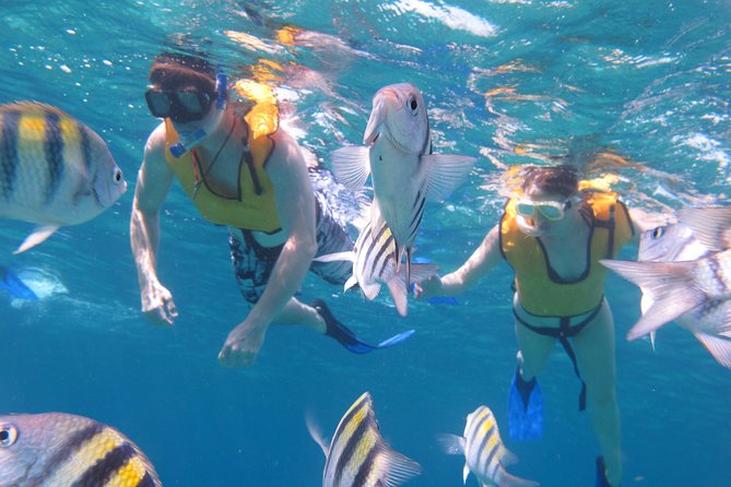 Cozumel Shore Excursion: Playa Uvas Private Beach Pass - Chankanaab National Marine Park access, how it changes your options