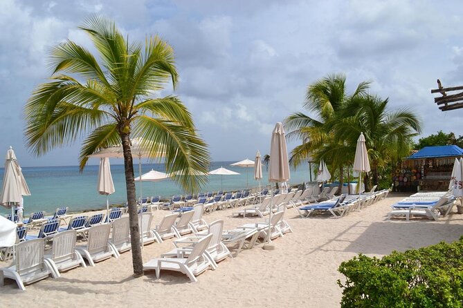 Cozumel Shore Excursion: Playa Uvas Private Beach Pass - The flow of a 1 to 6 hour day, snorkeling, kayaking, lunch, repeat