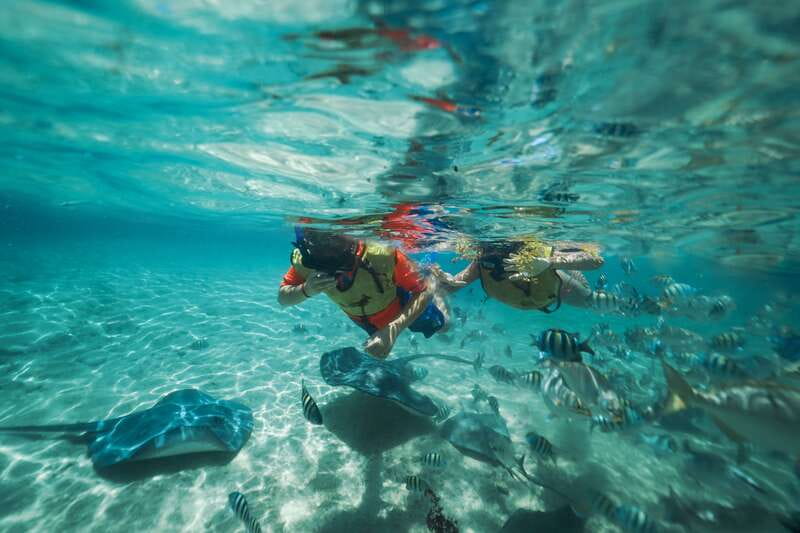 Cozumel: Snorkel and Swim with Stingrays - Safety Briefing and Gear, Plus the Sunscreen Rule
