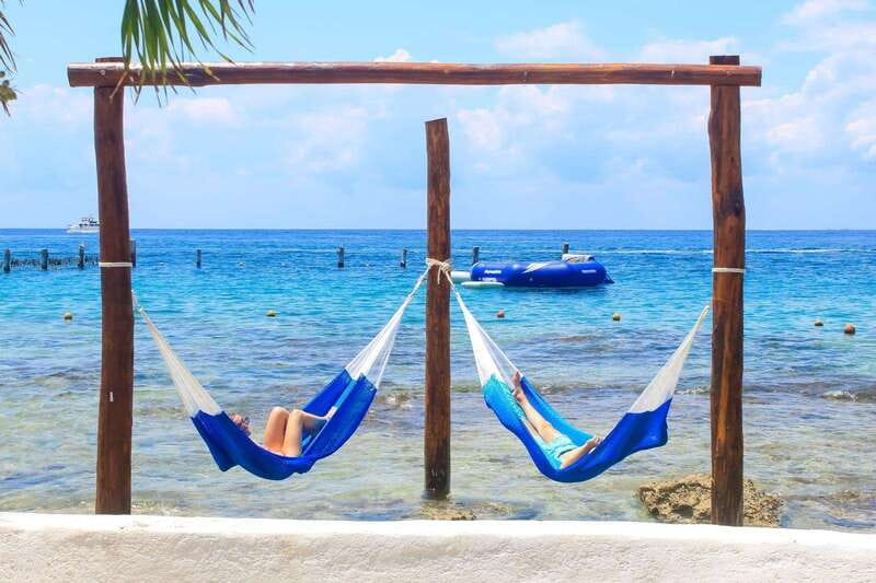 Cozumel: Snorkel and Swim with Stingrays - Beach Club Extras: Photos, Souvenirs, and Wildlife You Might Spot