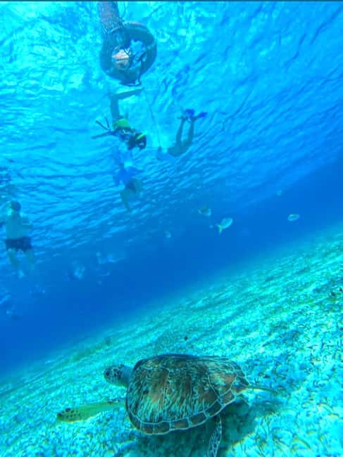 Cozumel: snorkeling on reefs + visit to "El Cielo" - Key points to know before you go