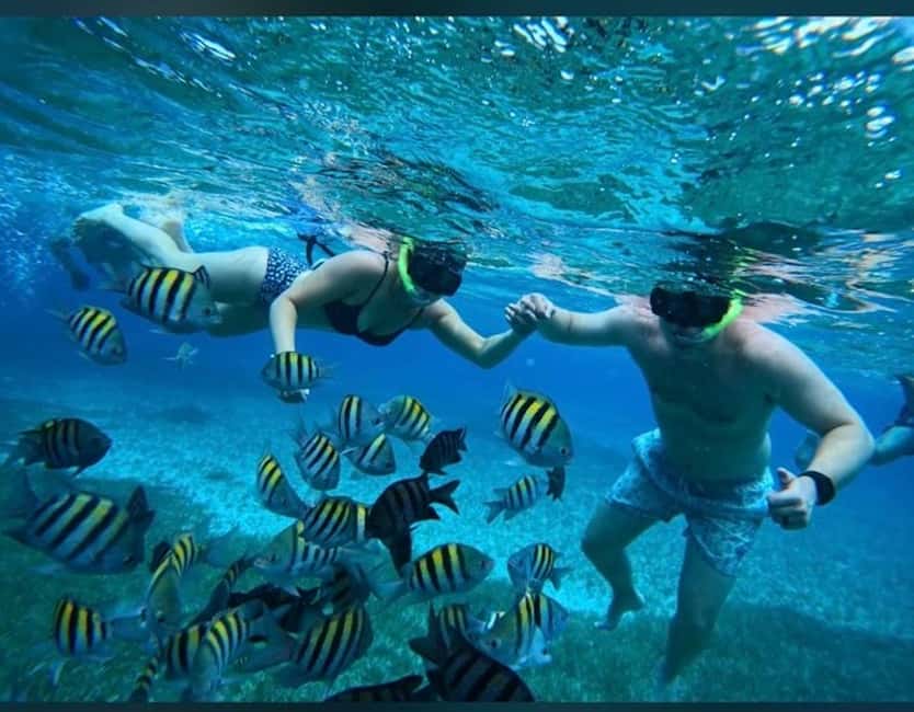 Cozumel: snorkeling on reefs + visit to "El Cielo" - Finding the meeting point at Muelle Fiscal, module #6
