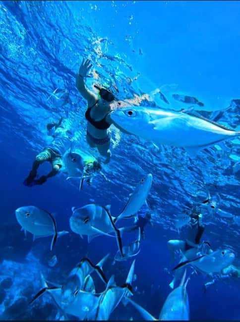 Cozumel: snorkeling on reefs + visit to "El Cielo" - Columbia Reef: tunnels, coral formations, and the turtles/parrotfish vibe