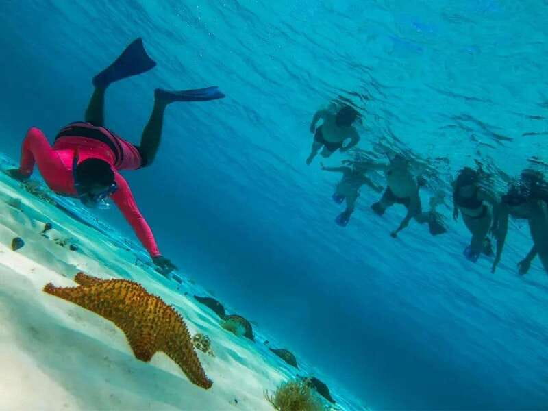Cozumel: snorkeling on reefs + visit to "El Cielo" - Palancar Reef snorkeling: majestic corals and lots of marine life