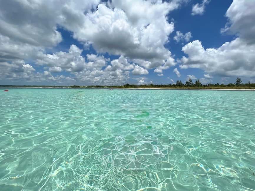 Cozumel: snorkeling on reefs + visit to "El Cielo" - El Cielo (The Sky): starfish in turquoise shallows, plus manta-ray rules