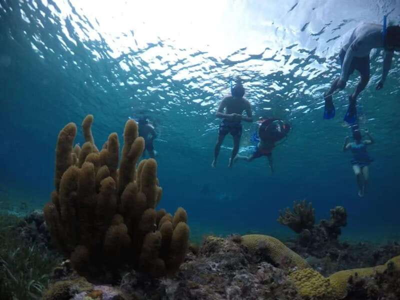 Cozumel: snorkeling on reefs + visit to "El Cielo" - Who this Cozumel tour suits best