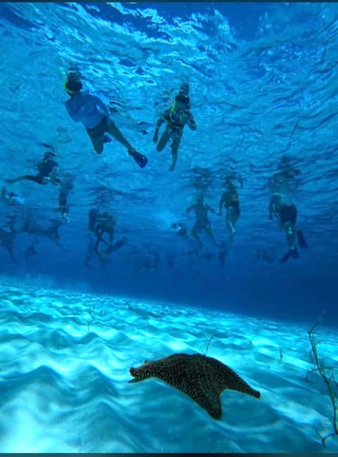 Cozumel: snorkeling on reefs + visit to "El Cielo" - The 4-hour flow: reefs south of Cozumel, then El Cielo