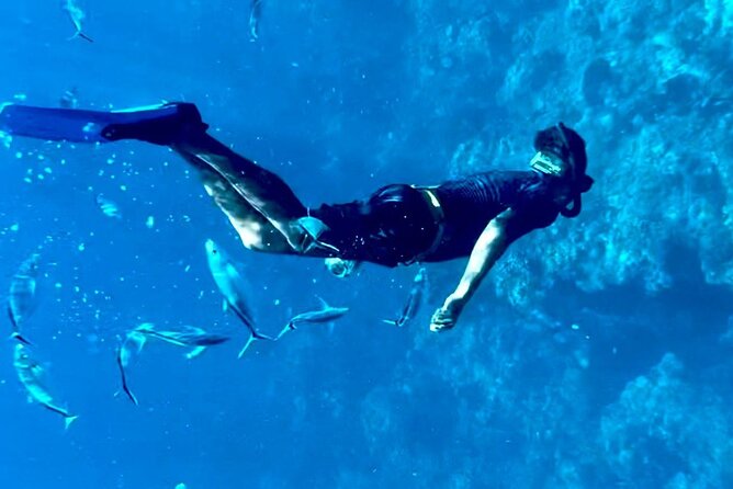 Cozumel Snorkeling Reef Experience with Ceviche and Beers - Stop 2: Palancar Reef, where Cozumel’s coral personality shows up