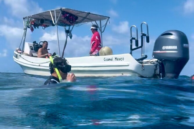 Cozumel Snorkeling Reef Experience with Ceviche and Beers - Stop 3: Playa El Cielo, starfish in shallow clear water
