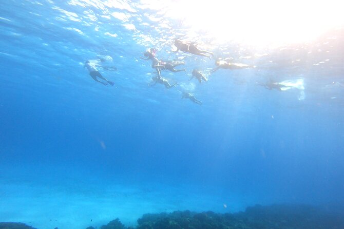 Cozumel Snorkeling Reef Experience with Ceviche and Beers - The snack and meal payoff: fresh fish ceviche with totopos and beer