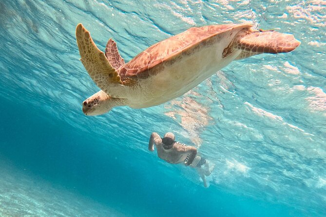 Cozumel: Snorkeling to El Cielo & Cielito with drinks & Snack - What Makes This Cozumel Snorkeling Day Worth It