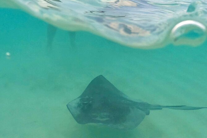 Cozumel: Snorkeling to El Cielo & Cielito with drinks & Snack - Key Highlights You Will Feel Immediately