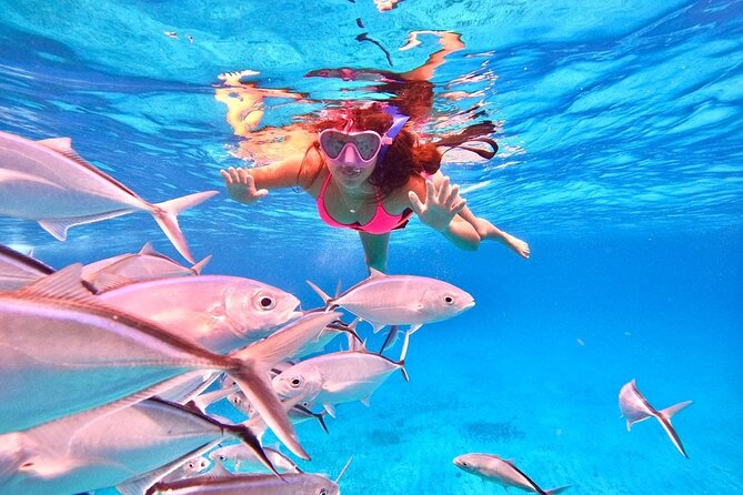 Cozumel: Snorkeling to El Cielo & Cielito with drinks & Snack - Who This Tour Suits Best (and Who Might Want a Different Plan)