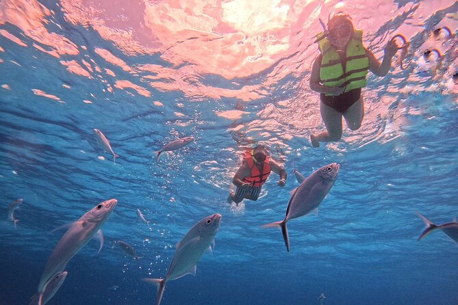 Cozumel: Snorkeling to El Cielo & Cielito with drinks & Snack - The Palancar Reef Stops: Calmer Water, Real Reef Life