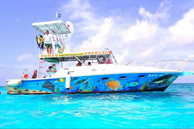 Cozumel Snorkeling Tour at Palancar & Colombia Reefs and El Cielo - Why Palancar, Colombia, and El Cielo are a smart combo