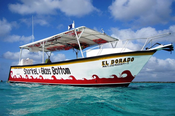 Cozumel Snorkeling Tour at Palancar & Colombia Reefs and El Cielo - Logistics in Cozumel: meeting point, timing, and pick ups