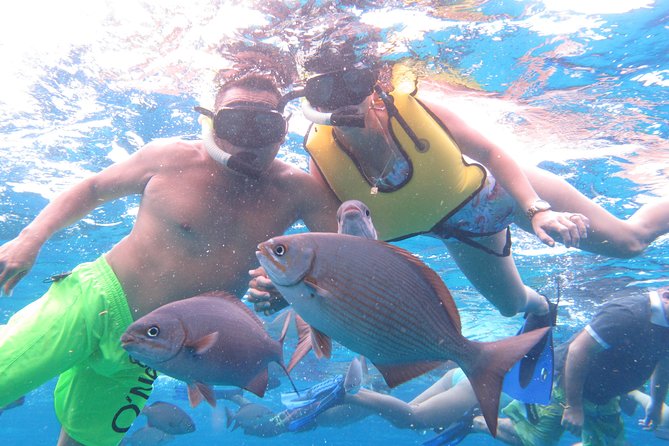 Cozumel Snorkeling Tour at Palancar & Colombia Reefs and El Cielo - Who this tour suits best, and who should think twice