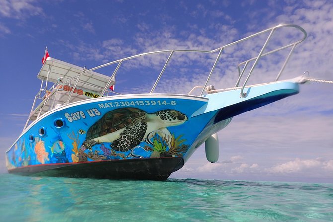 Cozumel Snorkeling Tour at Palancar & Colombia Reefs and El Cielo - Snorkeling gear, safety talk, and how to avoid rookie mistakes
