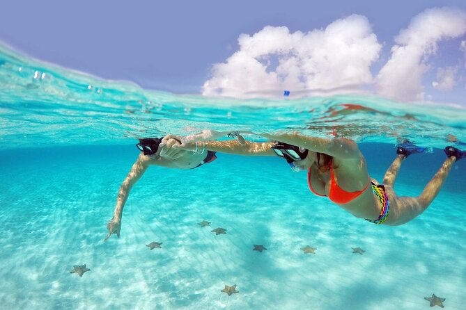 Cozumel Snorkeling Tour: Palancar, Columbia and El Cielo Reefs - Key things to know before you go