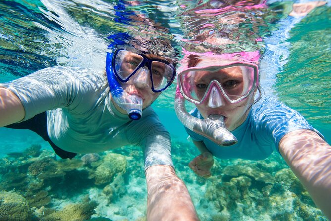 Cozumel Snorkeling Tour to Palancar Reef and El Cielo - Group Size Limits, and Why They Matter on a Reef Tour