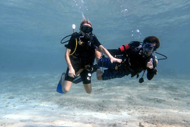 Cozumel underwater 2 Tank Dive by boat - The Two-Tank Schedule That Makes Cozumel Feel Manageable