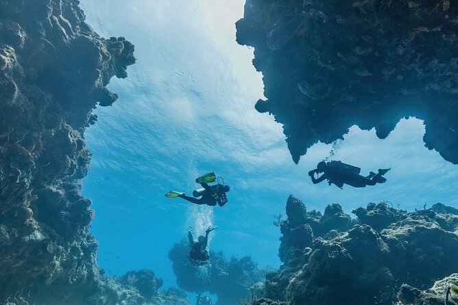 Cozumel underwater 2 Tank Dive by boat - Caleta Harbor Meets Your Boat Plan
