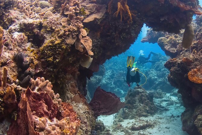 Cozumel underwater 2 Tank Dive by boat - Gear Fitting on Arrival, and Why It Matters