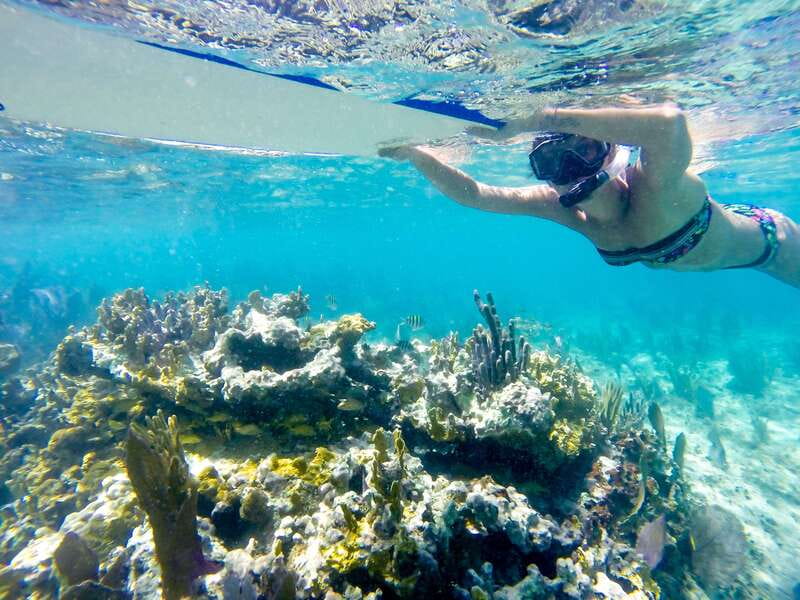 Cozumel: West Coast E-Bike and Snorkeling Tour - Key points to know before you go