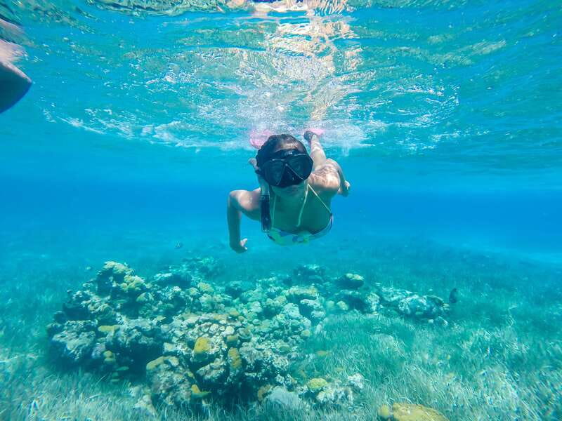 Cozumel: West Coast E-Bike and Snorkeling Tour - Cenote stop: underground river vibes and real Cozumel nature