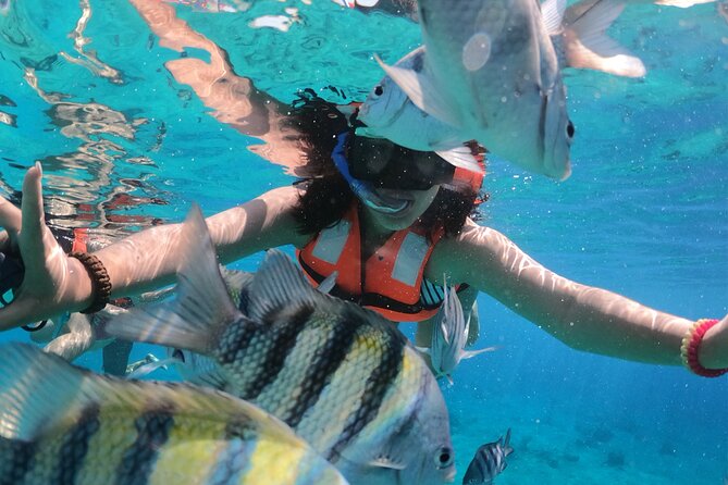 Crystal Boat Tour with Snorkeling and Drinks in Cozumel - Crystal clear Cozumel, from the first seconds onboard