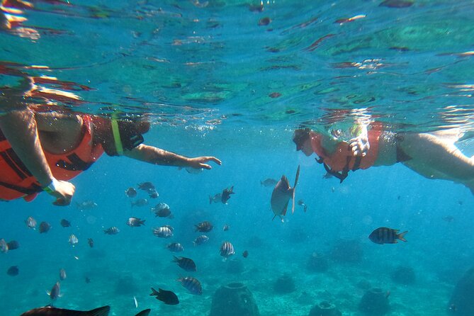 Crystal Boat Tour with Snorkeling and Drinks in Cozumel - Group size and the feel on the water