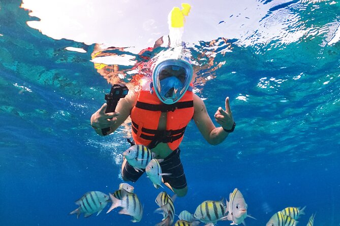 Crystal Boat Tour with Snorkeling and Drinks in Cozumel - Photos: plan your budget before you fall in love with the moment