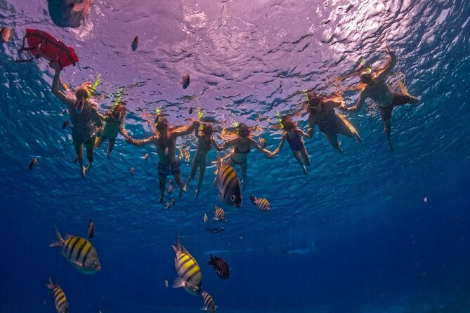 Crystal Boat Trip and Snorkeling Tour from Cozumel - The included drink, and why it matters more than you think