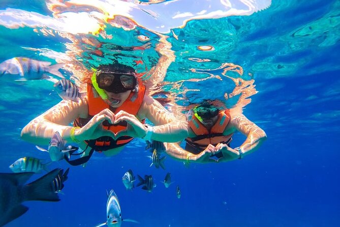 Crystal Boat Trip and Snorkeling Tour from Cozumel - Stop 1 in Cozumel: shipwreck views from the glass