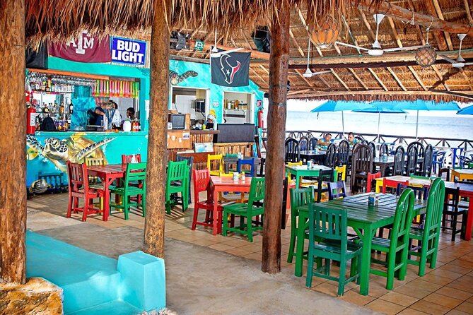 Custom Private Guided Cozumel Island Tour - Who This Private Cozumel Tour Fits Best