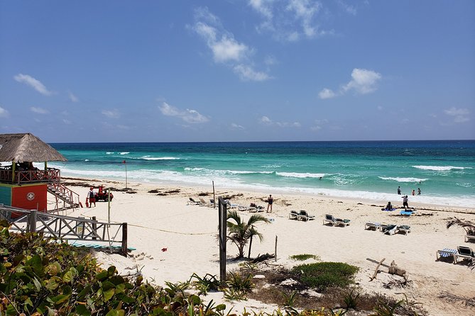 Customizable Private Buggy Tour in Cozumel with Lunch and Snorkel - Rancho Alejandra tequila tasting plus the animal ranch break