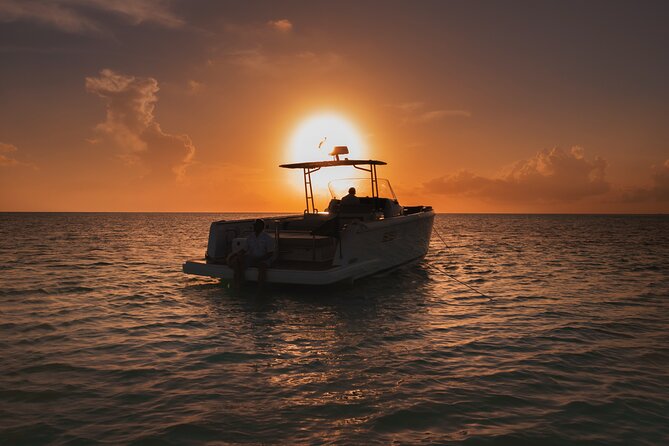 Deluxe Private Boats - 36 ft Fjord - The close-to-water nature moment: small stop, big payoffs