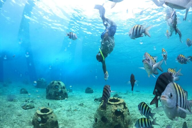 Discover Cozumel in a Transparent Boat! - Group Size, Timing, and What the 1 Hour 30 Minute Schedule Feels Like