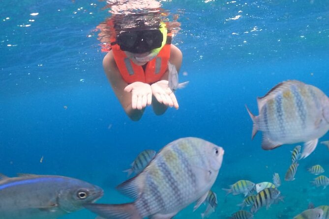 Discover Cozumel in a Transparent Boat! - Price and Value: What You Get for $24.90