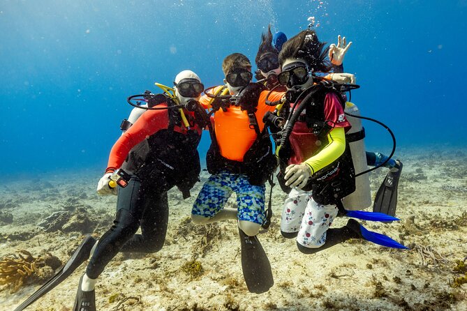 Discover Diving in the Reefs of Cozumel - Beach Practice, Then a Controlled Reef Check-Out
