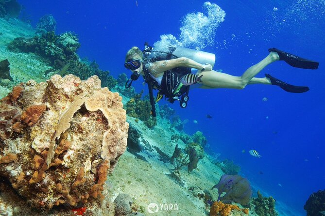 Discover Scuba Diving - Meeting Point, Walking, and How Not to Stress on Cruise Days