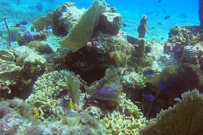 Discover Scuba Diving - Pace and Timing: Why Your Underwater Time Can Vary