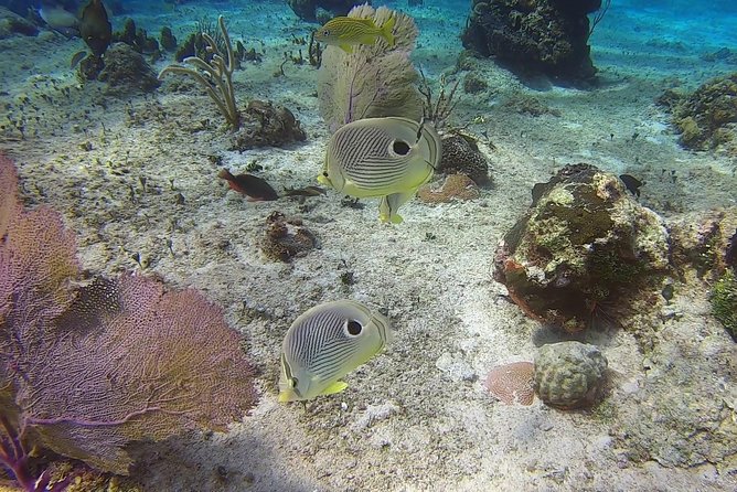 Discover Scuba Diving - The Small Safety Details That Make Beginners Relax