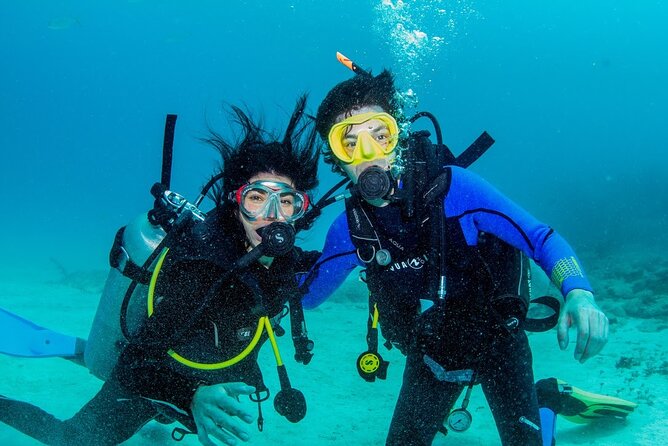 Discover Scuba Diving at Cozumel Marine Park - Getting to Cozumel Marine Park, and meeting your crew