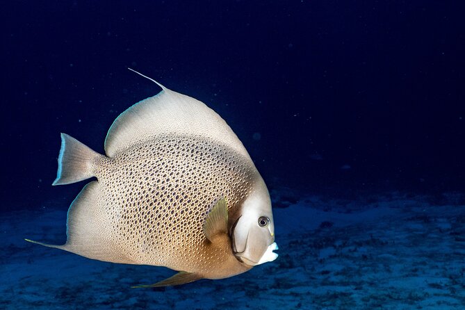 Discover Scuba Diving at Cozumel Marine Park - The boat time and comfort on La Luciana