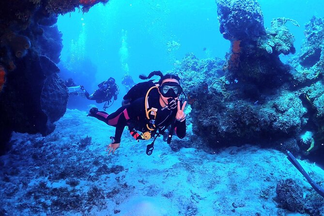 Discover Scuba Diving in Cozumel - Tikila Beach Bar: Meeting, Gear Fitting, and First Impressions
