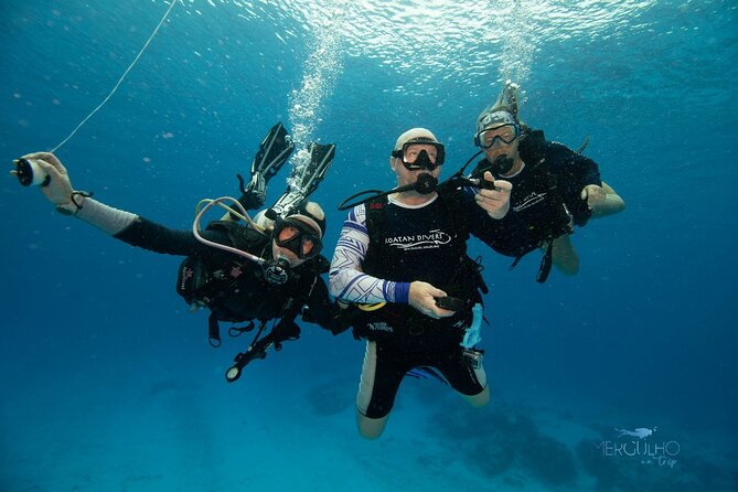 Discover Scuba Diving in Cozumel - Shore Entry and Wetsuits: What to Expect When Getting In and Out