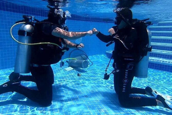 Discover Scuba Diving in Cozumel - Group Size of 4: The Attention You Actually Want as a Beginner